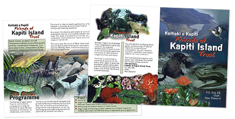 brochure design - Kapiti Island
