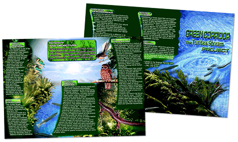 Green Corridor 3 fold brochure